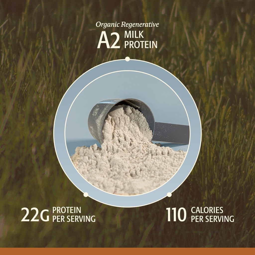 men-s-whey-protein-powder-vanilla-grass--4.jpg