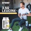 xtend-original-bcaa-powder-7g-bcaas-and--4.jpg