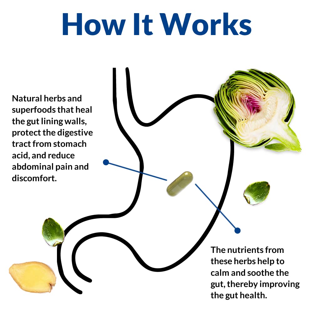 holistic-health-labs-gut-alive-all-natur-6.jpg