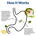 holistic-health-labs-gut-alive-all-natur-6.jpg