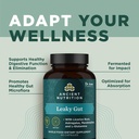 ancient-nutrition-gut-health-supplement--5.jpg