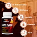 testosterone-booster-turkesterone-supple-4.jpg