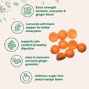turmeric-ginger-gummies-120-count-sugar--3.jpg