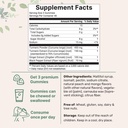 turmeric-ginger-gummies-120-count-sugar--2.jpg