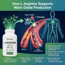 pristine-s-l-arginine-1000mg-capsule-sup-3.jpg