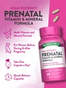 nature-s-truth-prenatal-vitamins-with-fo-5.jpg