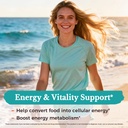 vitalitown-vitamin-b-complex-capsule-for-4.jpg