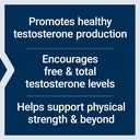 life-extension-testosterone-elite-testos-4.jpg