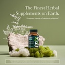gaia-herbs-kava-root-helps-sustain-a-sen-2.jpg