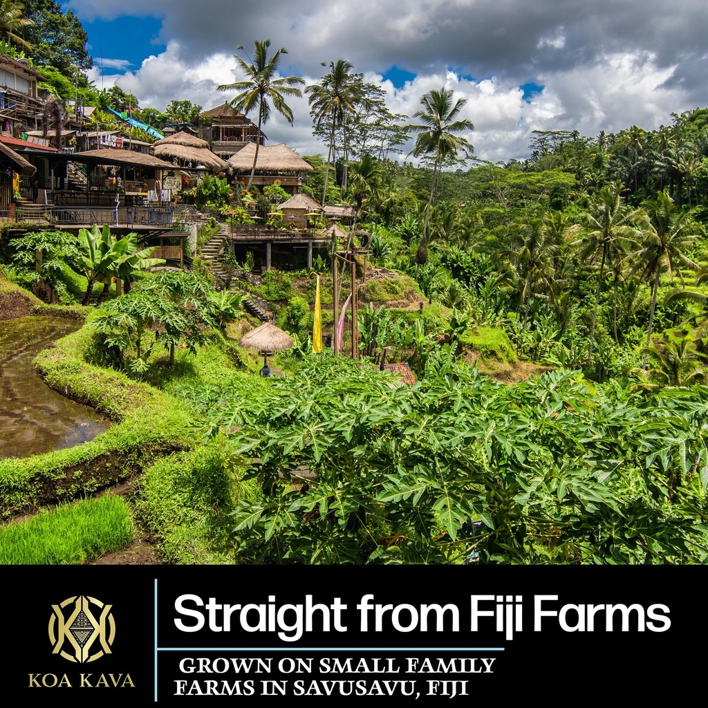 koa-kava-fiji-kava-powder-premium-noble--4.jpg