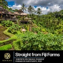 koa-kava-fiji-kava-powder-premium-noble--4.jpg