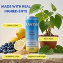 kaviva-kava-seltzer-relaxation-drink-50--3.jpg