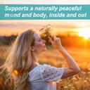 2pack-kava-kava-gummies-sugar-free-calm--4.jpg