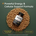 naturebell-pqq-with-coq10-240-capsules-4-2.jpg