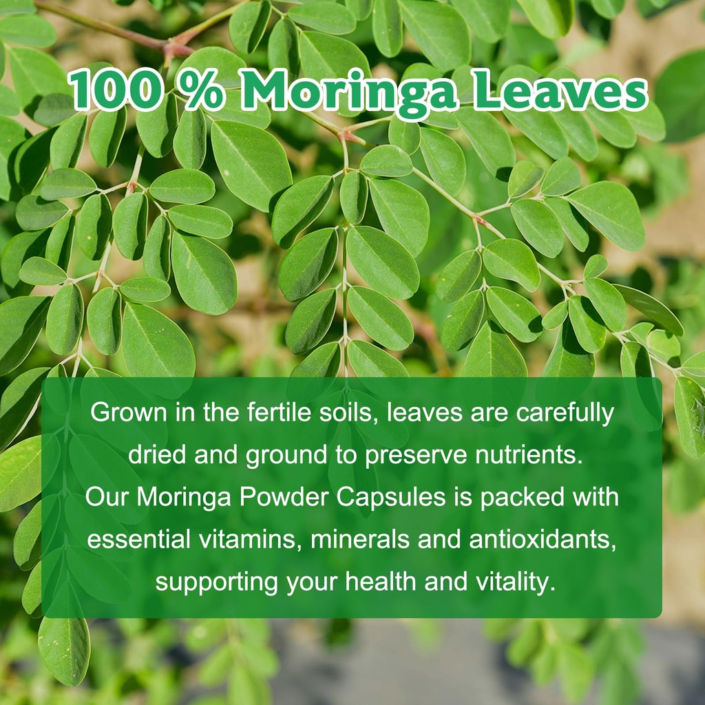 moringa-capsules-pure-moringa-leaf-powde-5.jpg