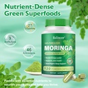 moringa-capsules-pure-moringa-leaf-powde-3.jpg