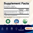 vitamatic-akkermansia-muciniphila-gut-he-2.jpg