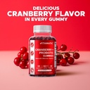 vitamatic-2-pack-cranberry-gummies-with--6.jpg