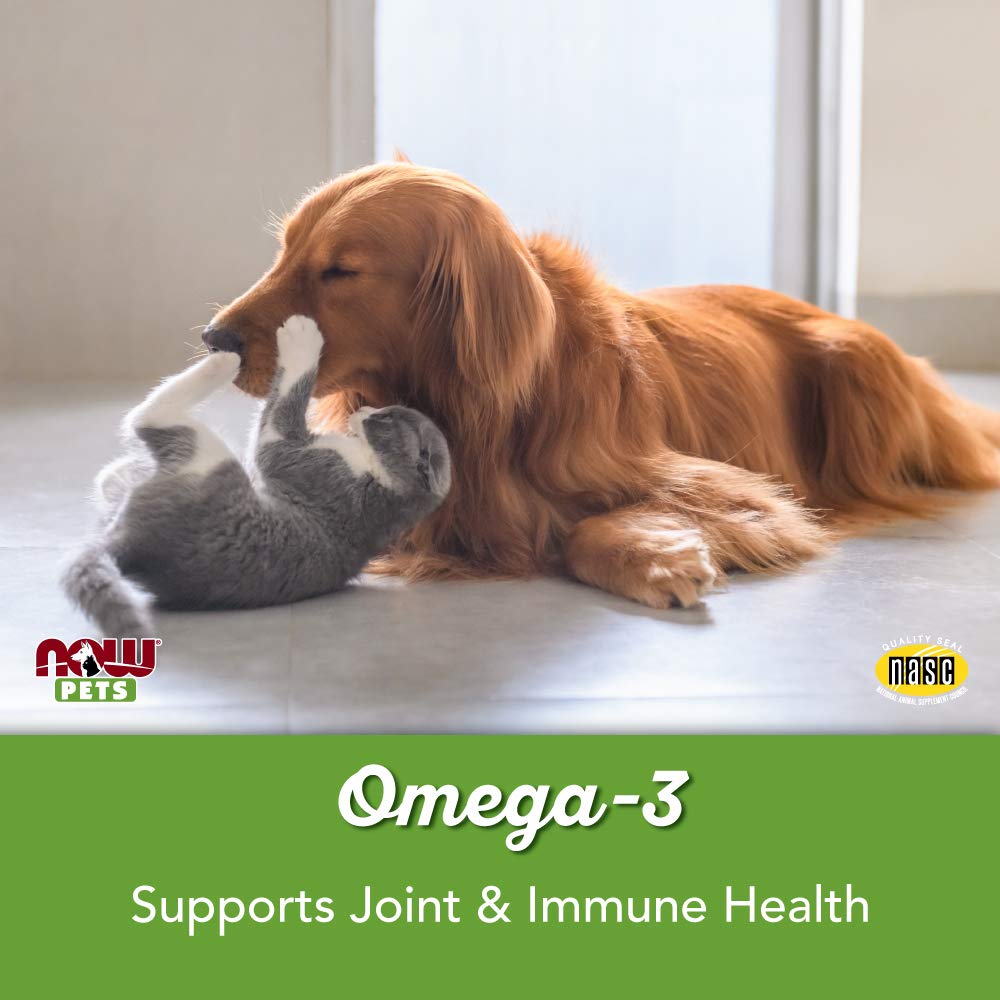 now-pet-health-omega-3-supplement-formul-5.jpg