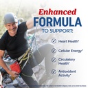 omega-3-fish-oil-co-q10-1305mg-omega-3-w-4.jpg