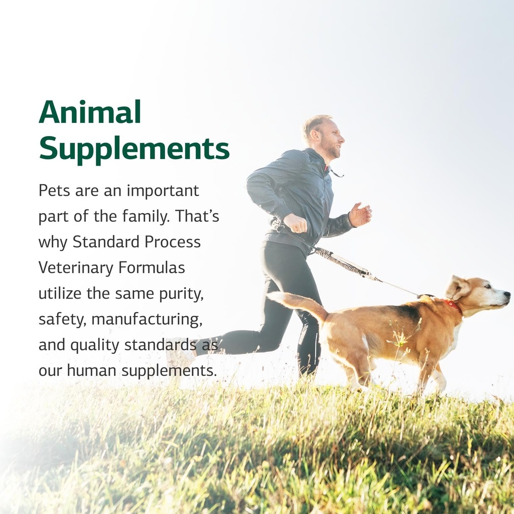 standard-process-inc-feline-renal-suppor-6.jpg