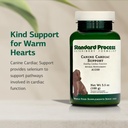 standard-process-inc-canine-cardiac-supp-3.jpg