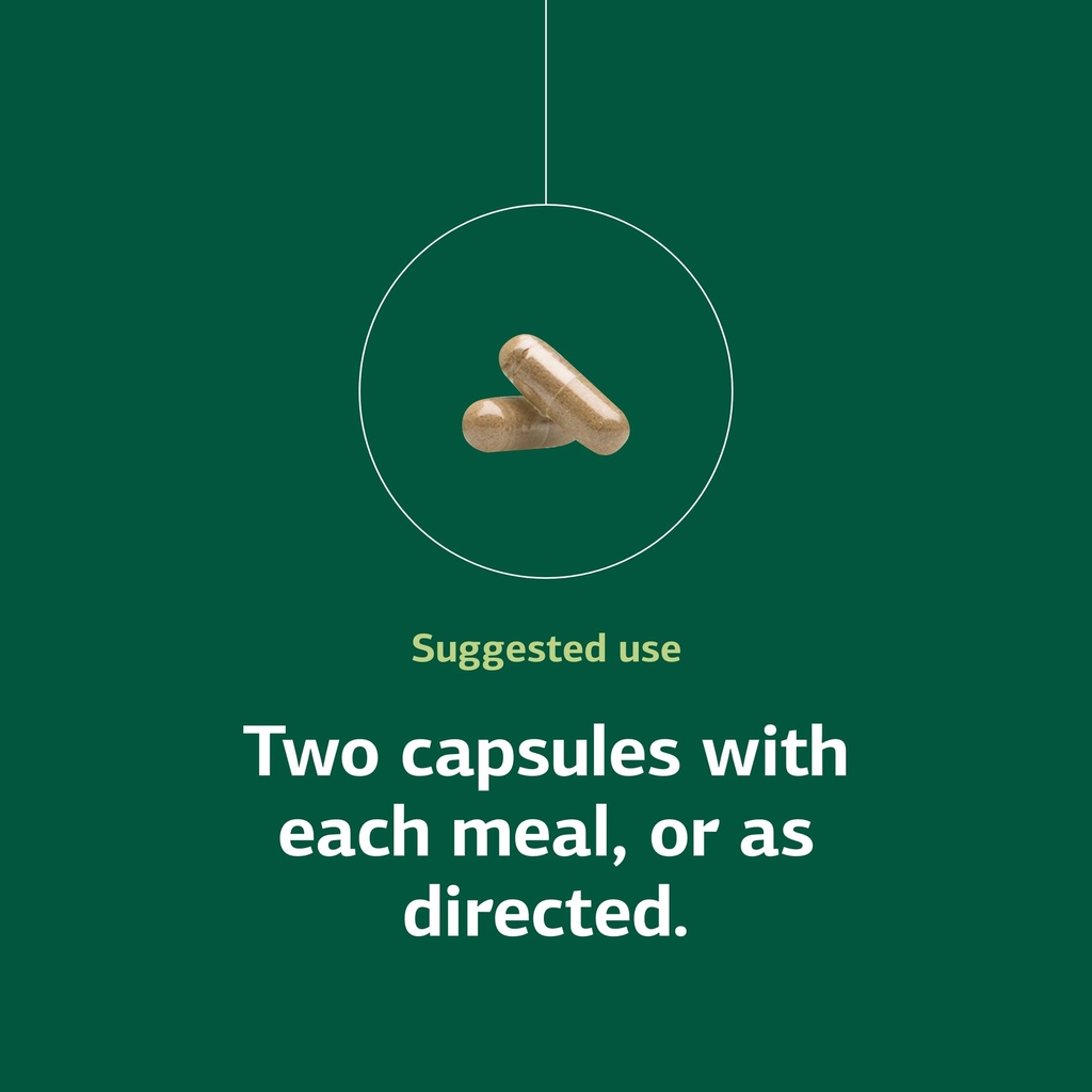 standard-process-zymex-capsules-digestiv-5.jpg
