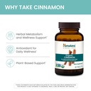 himalaya-organic-cinnamon-30-day-supply--4.jpg