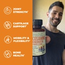 glucosamine-chondroitin-turmeric-multivi-3.jpg