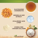 nature-s-base-turmeric-ginger-60-ct-gluc-5.jpg