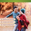 nature-s-base-turmeric-ginger-60-ct-gluc-3.jpg