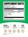 bulksupplements-com-coleus-forskohlii-ex-2.jpg
