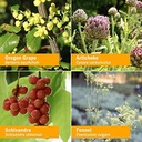 fast-absorption-liver-health-support-for-5.jpg