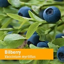 herb-pharm-bilberry-liquid-extract-drops-5.jpg