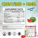 creatine-monohydrate-gummies-hmb-supplem-2.jpg