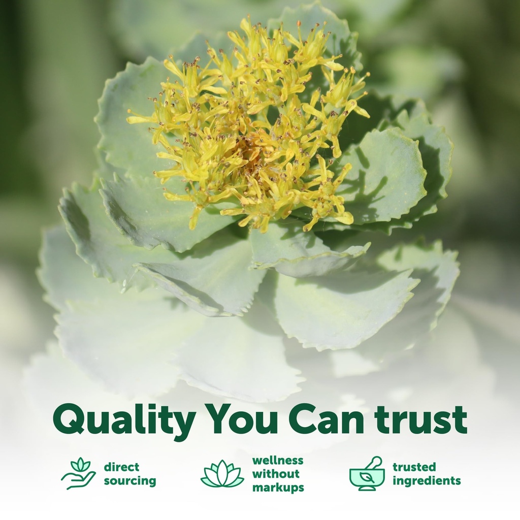 micro-ingredients-rhodiola-rosea-supplem-5.jpg