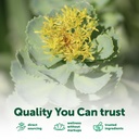 micro-ingredients-rhodiola-rosea-supplem-5.jpg