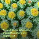 deal-supplement-rhodiola-rosea-with-ashw-4.jpg