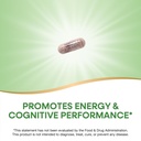 nature-s-way-rhodiola-premium-extract-25-3.jpg