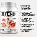 xtend-original-bcaa-powder-7g-bcaa-and-2-4.jpg