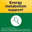 nature-made-b-complex-supplement-vitamin-3.jpg