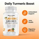 turmeric-curcumin-supplement-95-curcumin-2.jpg