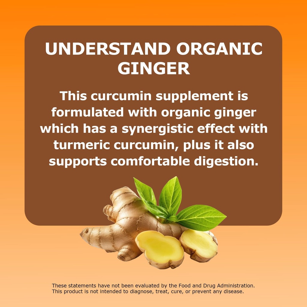 1pcsbio-root-labs-turmeric-curcumin-supp-6.jpg