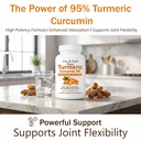elm-herb-pure-turmeric-curcumin-95-elm-a-2.jpg