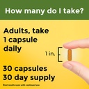 nature-made-high-absorption-turmeric-cur-4.jpg