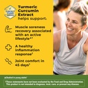 nature-made-high-absorption-turmeric-cur-2.jpg