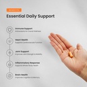 turmeric-curcumin-2-256-mg-complex-with--2.jpg