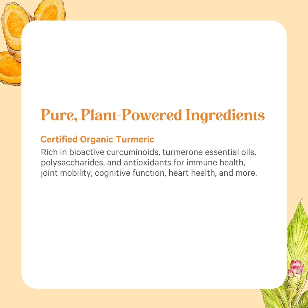 pure-synergy-superpure-turmeric-extract--6.jpg