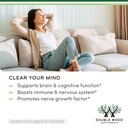 organic-lions-mane-mushroom-capsules-120-5.jpg