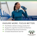 acetyl-l-carnitine-1-000mg-per-serving-1-3.jpg